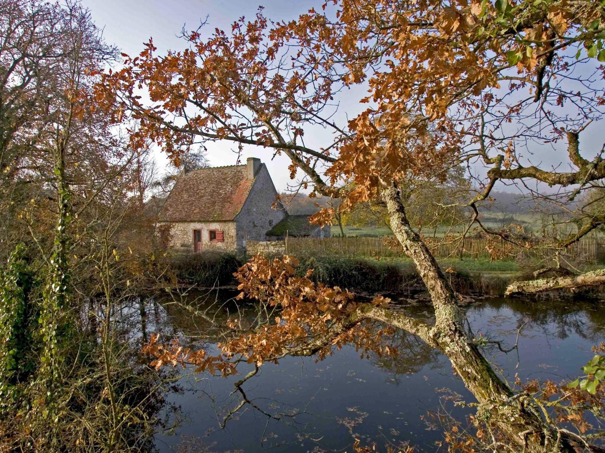 Sejour Nature Au Coeur Du Parc De La Brenne: Gite 4 Chambres, Jardin Et Terrasse, Proche De Rosnay - Fr-1-591-141 Bagian luar foto